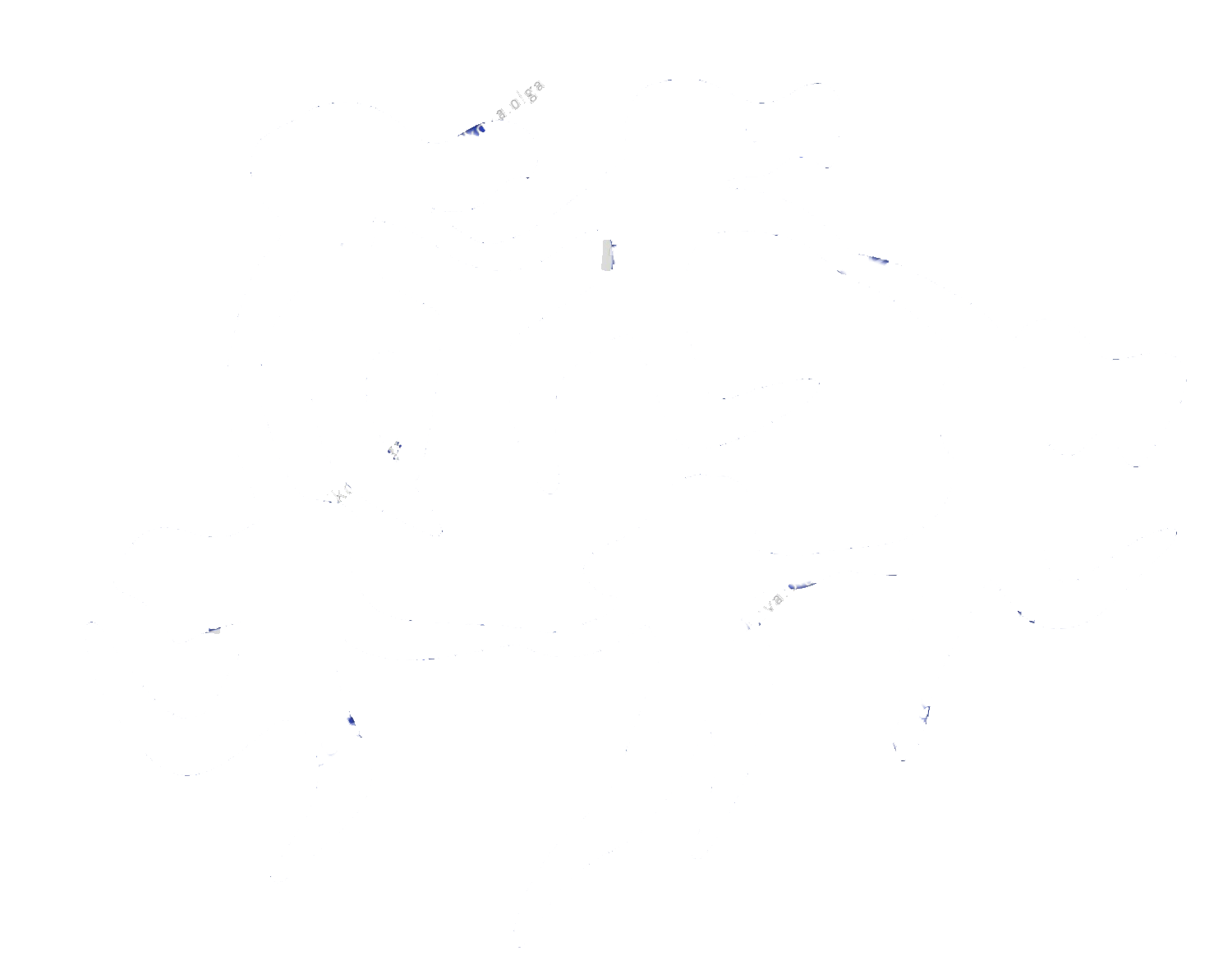 dancing white temp